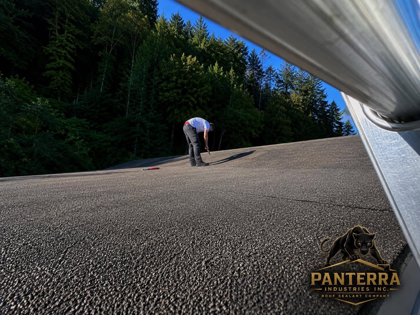 Panterra crew applying Rexoseal on a roof